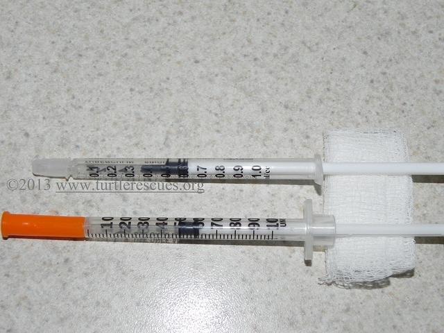 Syringes 50 cc