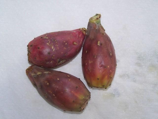 Cactus pear -