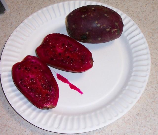 Cactus pear