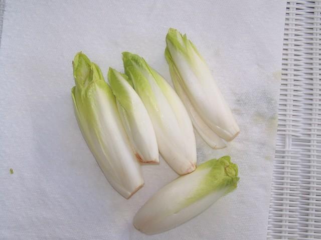 Endive