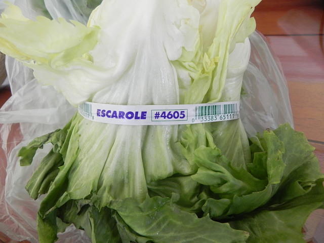 Escarole 001