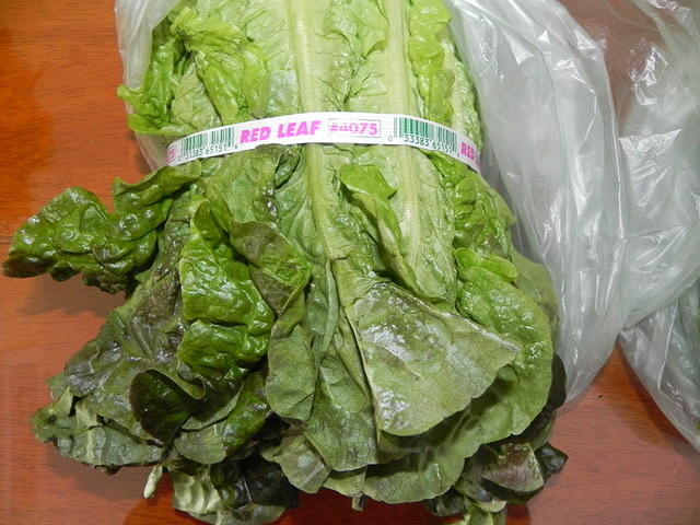 Red Leaf lettuce 001