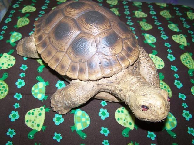 Tortoise statue