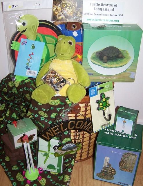 Turtle basket of goodies