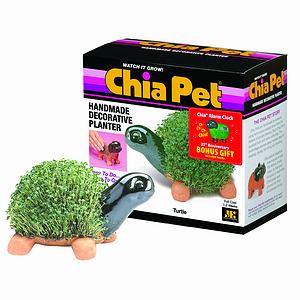 Turtle Chia Pet