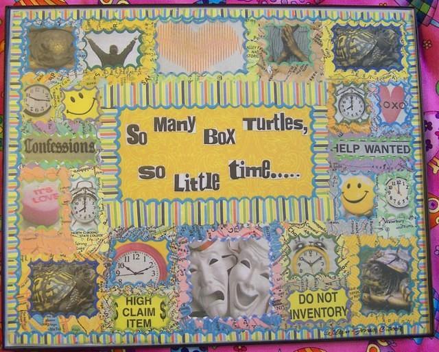 Box Turtle Collage