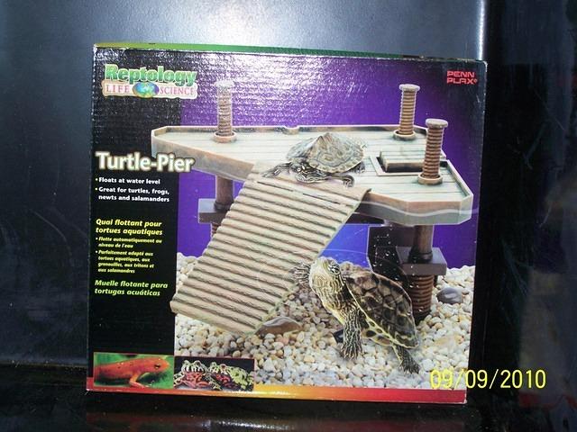 Turtle Pier