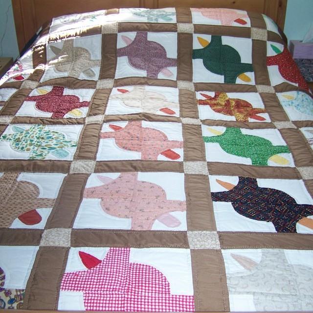 Turtle Quilt