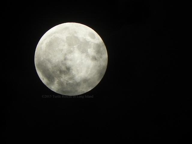 Moon eclipse Sept 2015