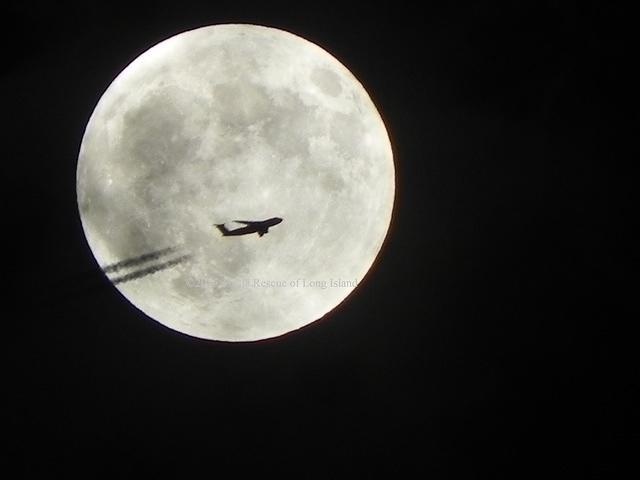 Moon plane Sept 27 2015