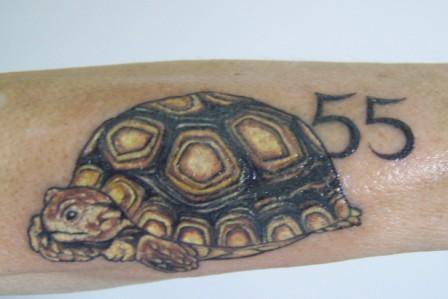 tattoo Sulcata