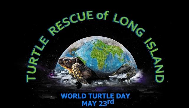 World Turtle Day tee design Scooter 2 