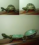 Turtle trinket box