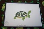 Turtle Notecards