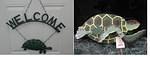 Welcome Turtle and Whirligig Turtle Donated by Paula Morris