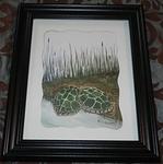Turtle shell painting
