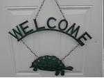 Welcome turtle