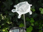 LED Color changing Solar Turtle