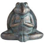 Meditating turtle