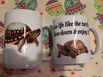 Box turtle mugs