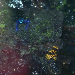 Atlantis Marineworld