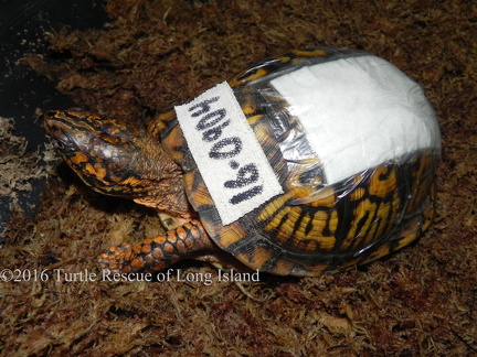 EBT mower Sept 2016 c