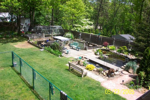 Back yard photo from upstairs