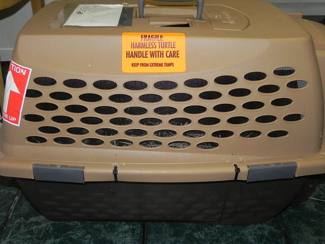 Crate showing screening