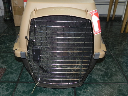 Crate with tortoise 