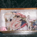 turtle in bag inside smaller box on top of packing peanuts
