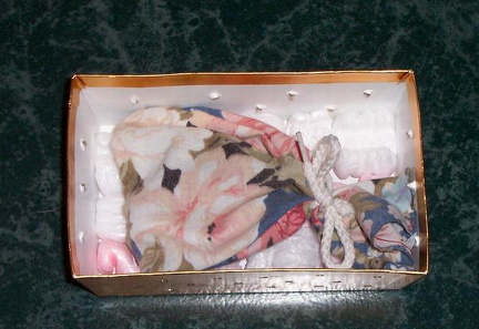 turtle in bag inside smaller box on top of packing peanuts