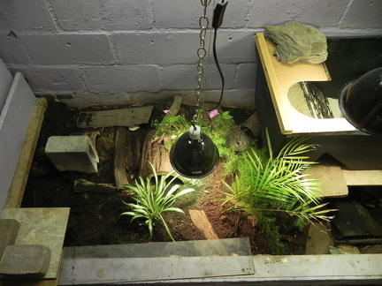 Indoor enclosure
