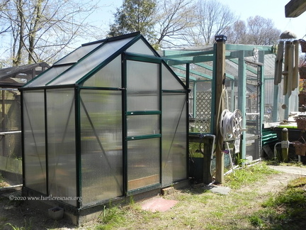 Small greenhouse enclosure and large outdoor enclosure