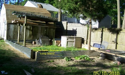Sulcata enclosure