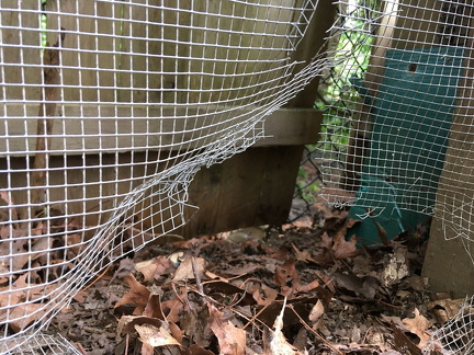 Sulcata tortoises are strong ~ sight barriers will help