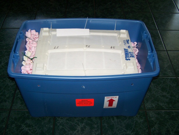 100_6293.jpg